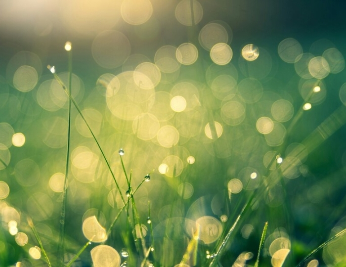 Легкое дыхание - Санаторий «Октябрьский» Сочи РЖД-Здоровье