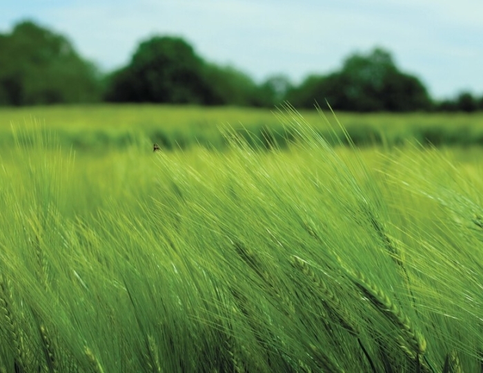 Оздоровительная - Санаторий «Октябрьский» Сочи РЖД-Здоровье