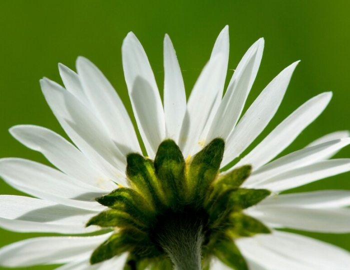 Классическая санаторная - Лечебные программы - Санаторий «Октябрьский» Сочи РЖД-Здоровье